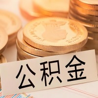 哈尔滨公积金代办提取需要啥样的条件能办？公积金代办提取找我-不成功不收费。